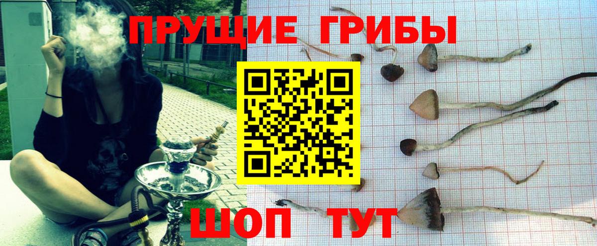 Галлюциногенные грибы прущие грибы Казань