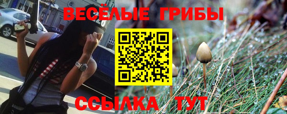 Псилоцибиновые грибы ЛСД  Вход с VPN  Казань 